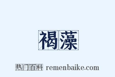 褐藻是什么意思的图片
